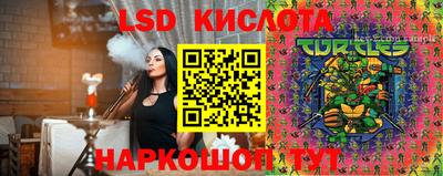 PSILOCYBIN Кинель