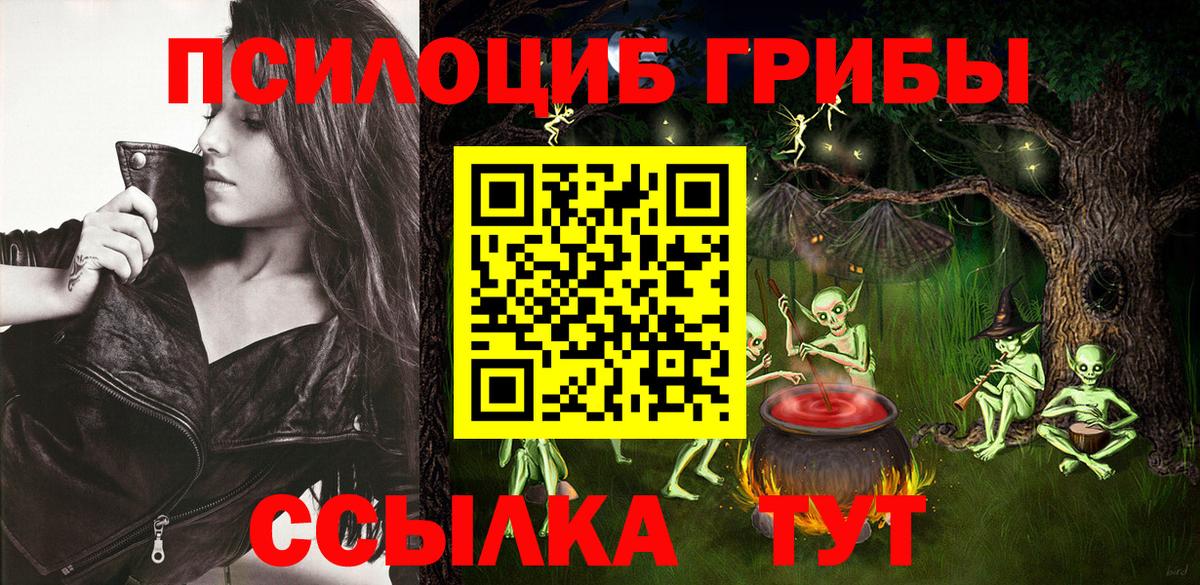 Псилоцибиновые грибы MAGIC MUSHROOMS  Вход с VPN  Клинцы 