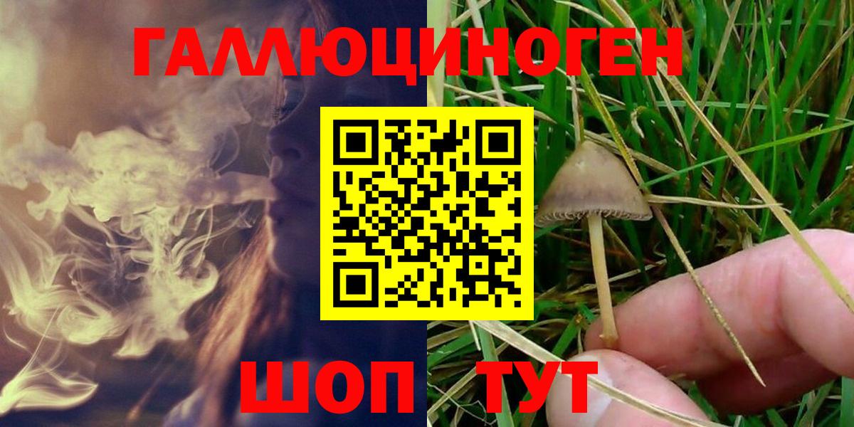 Псилоцибиновые грибы MAGIC MUSHROOMS Клинцы